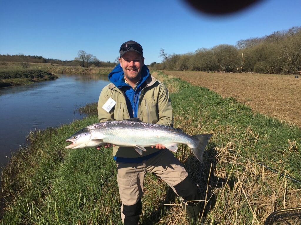 Forårslaks, 92 cm og 7,7 kg