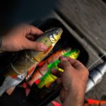 Savage Gear 3D Line Thru Whitefish – nye størrelser